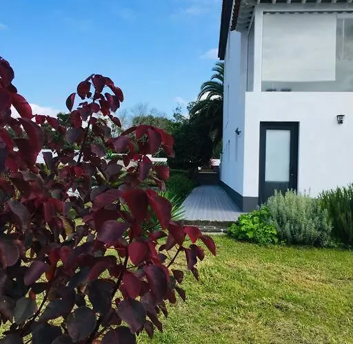 شقة La De Ananas - Privada Con Entrada Independiente Ponta Delgada